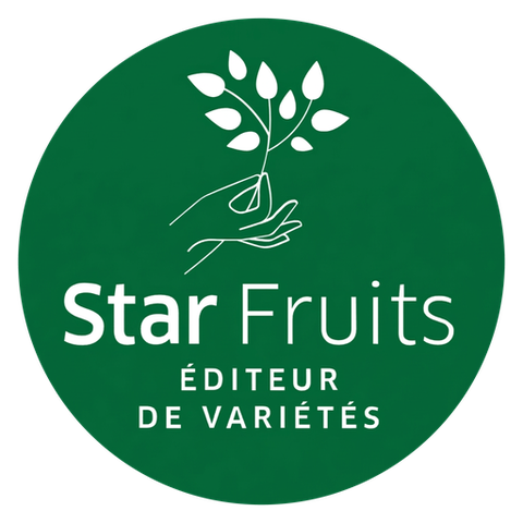 Star Fruits